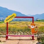 달래강 정원길 - 충주 스냅사진 찍기 좋은 장소