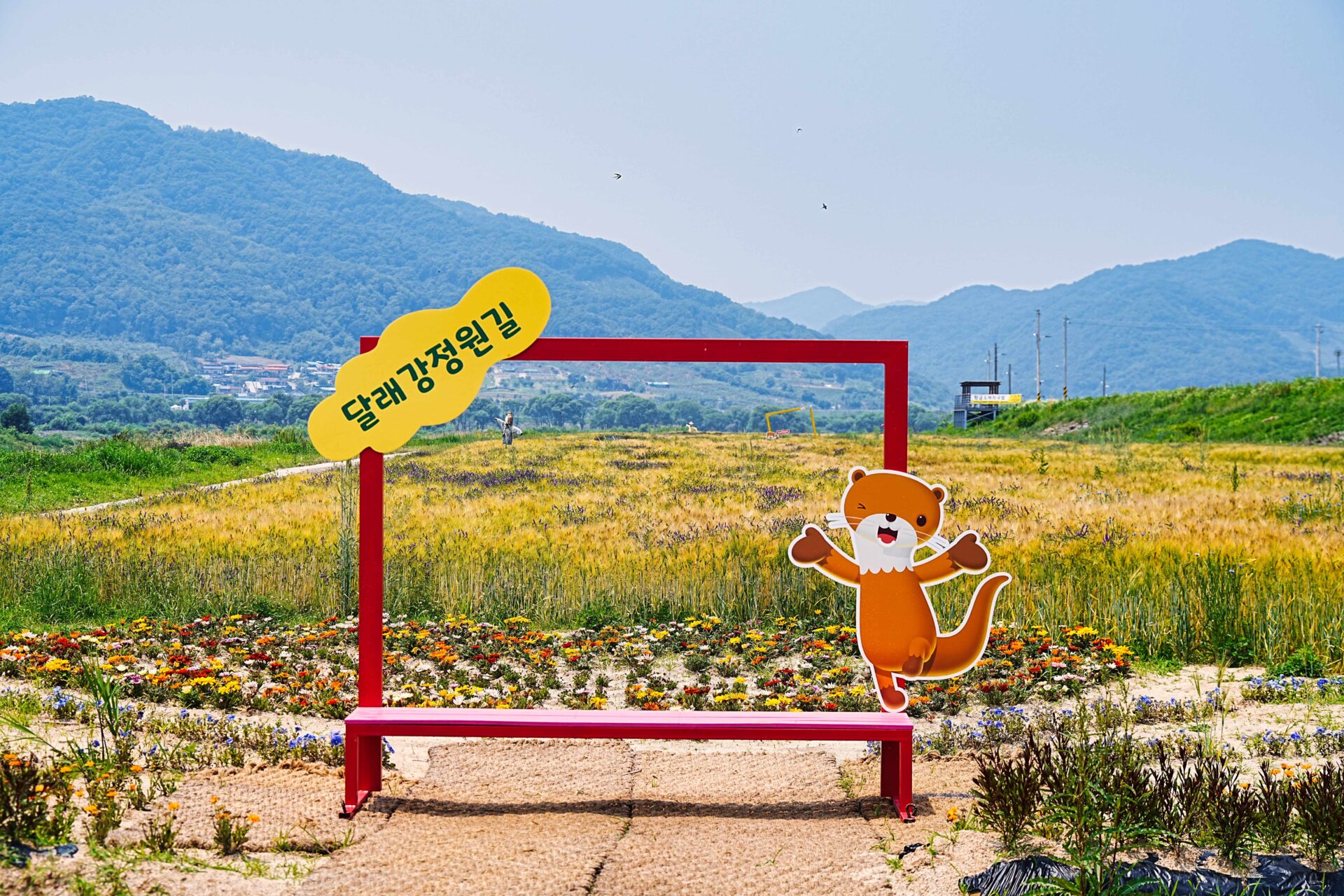 달래강 정원길 - 충주 스냅사진 찍기 좋은 장소